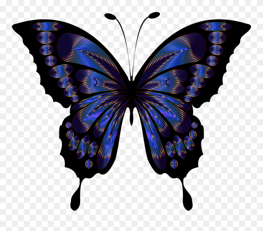 Butterfly Clipart - Png Download