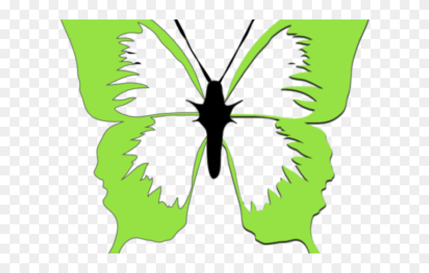 Transparent Green Butterfly Png - Pink Black And White Butterfly Clipart