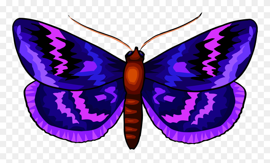 Butterfly 29 Clip Arts - Butterflies - Png Download