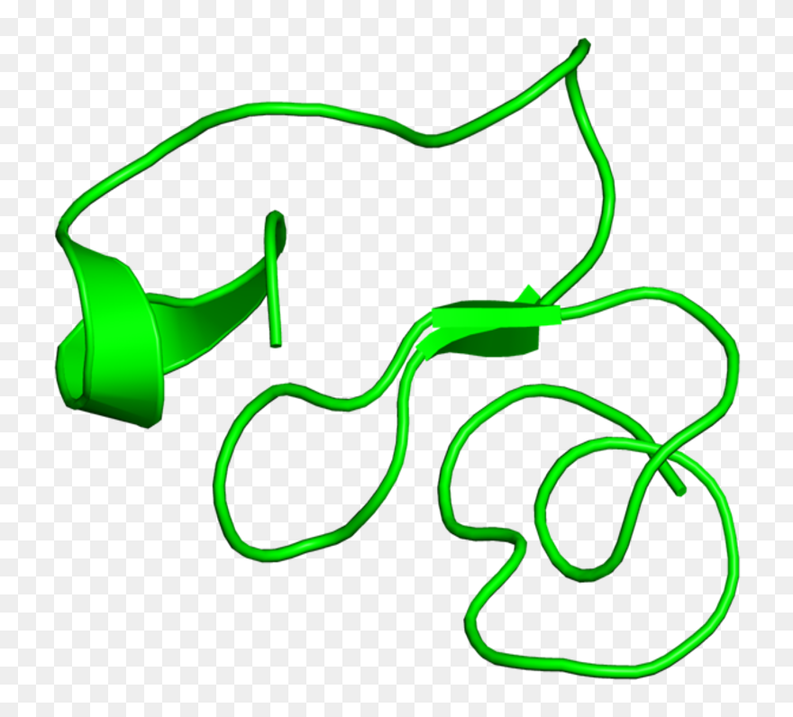 Clip Art - Png Download