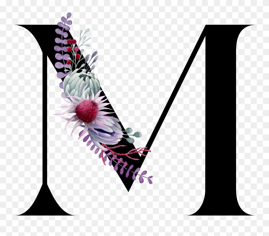 Illustration Clipart