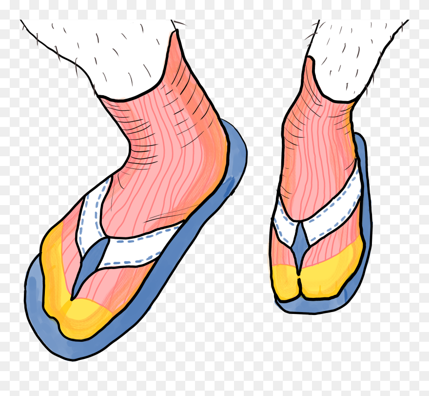Feet Clipart Sandal Transparent Png Socks And Sandals (5473443