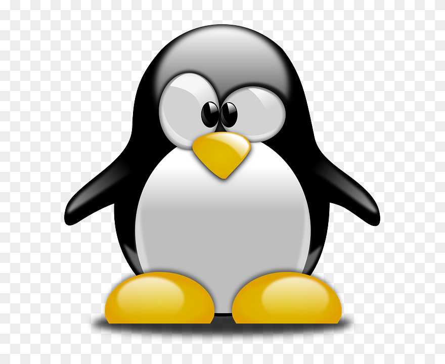 Cartoon Penguin Tux Clipart