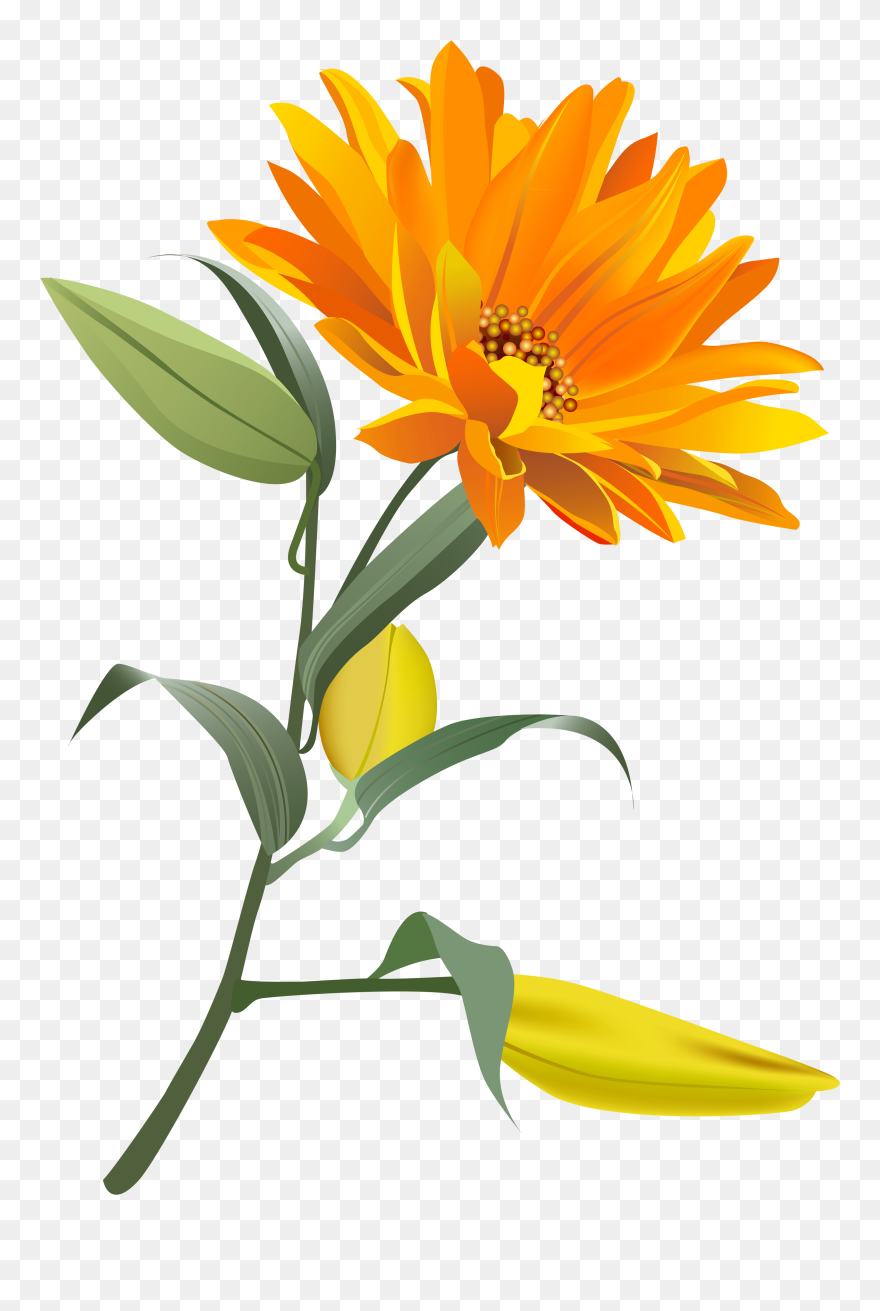 Orange Flower Png Clip Art Imageu200b Gallery Yopriceville - Clip Art Flower Orange Png Transparent Png