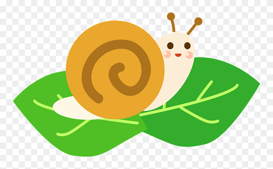 Snail Animal Clipart - 6 月 イラスト フリー - Png Download