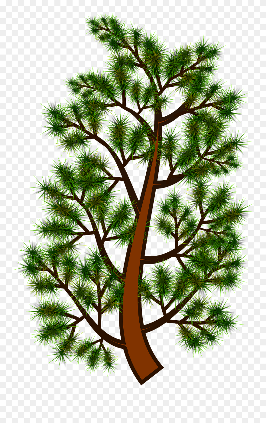 Pine Treebranch Clipart - Png Download