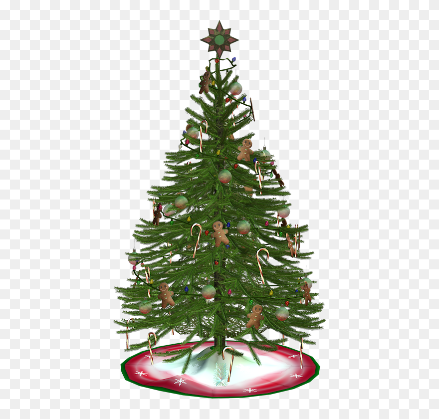 Transparent Pinecone And Branch Clipart - Christmas Tree - Png Download