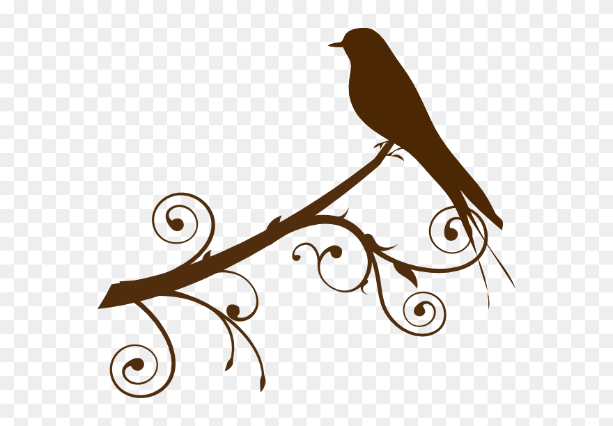 Bird Branch Clip Art - Clip Art Bird On Branch - Png Download