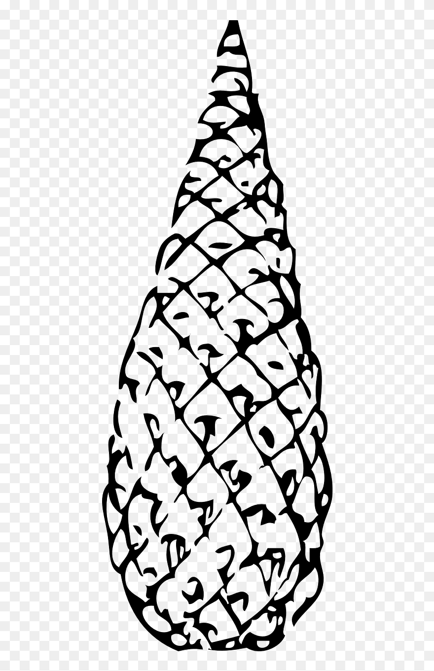 Pine Cone,pinecone,conifer Vector Graphics,free Pictures, - Pine Cone Coloring Page Clipart