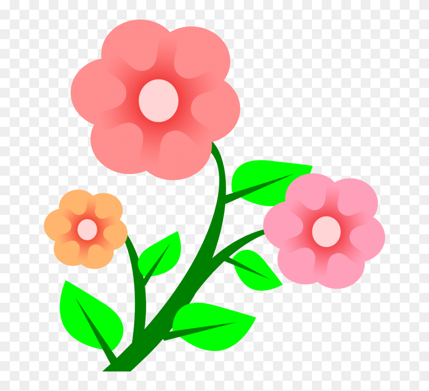 Blooming Flower Clipart - Png Download