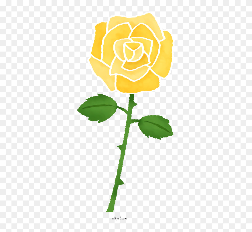 Transparent Flowers Garden Roses Rose Pink For Rose - Floribunda Clipart