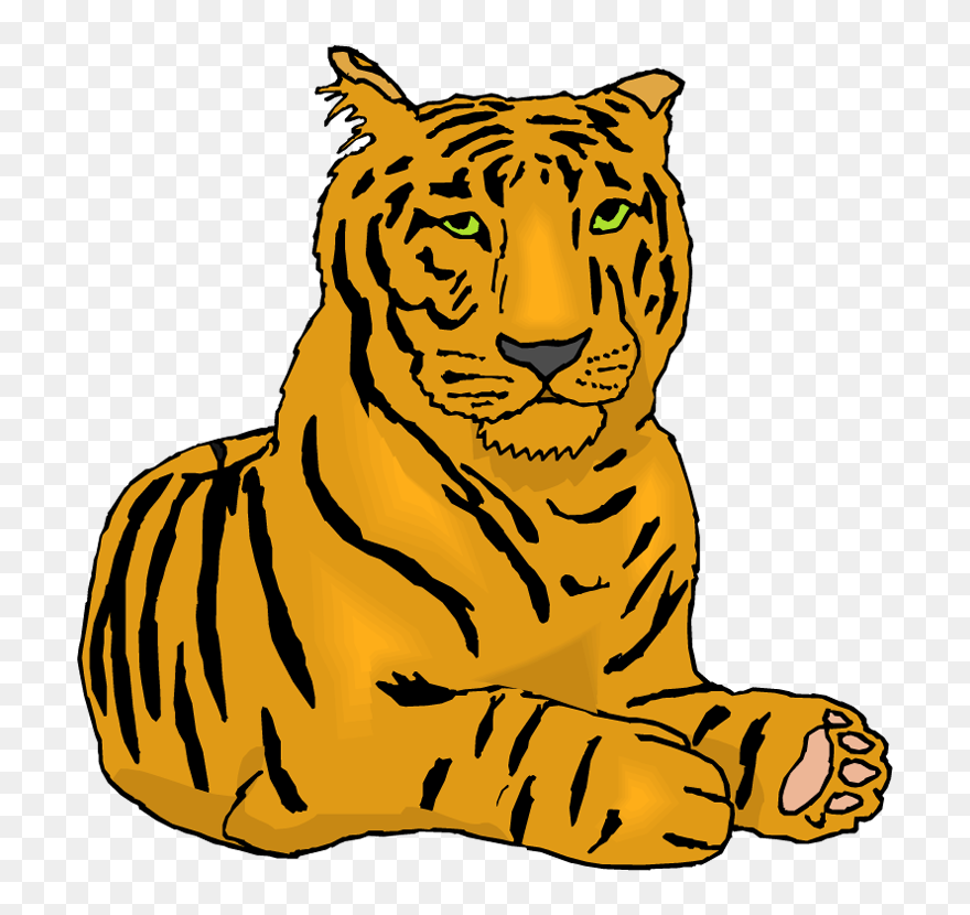 Transparent Baby Tiger Png - Tiger Clip Art