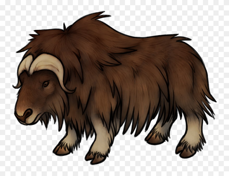 Ox Clipart Pencil Sketch - Musk Ox Clipart - Png Download