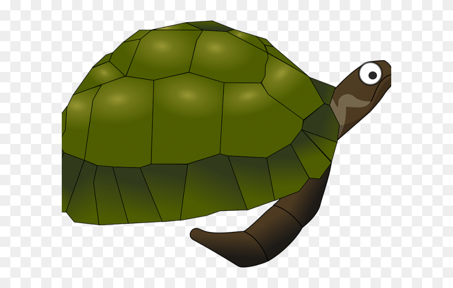 Sea Turtle Clip Art - Png Download