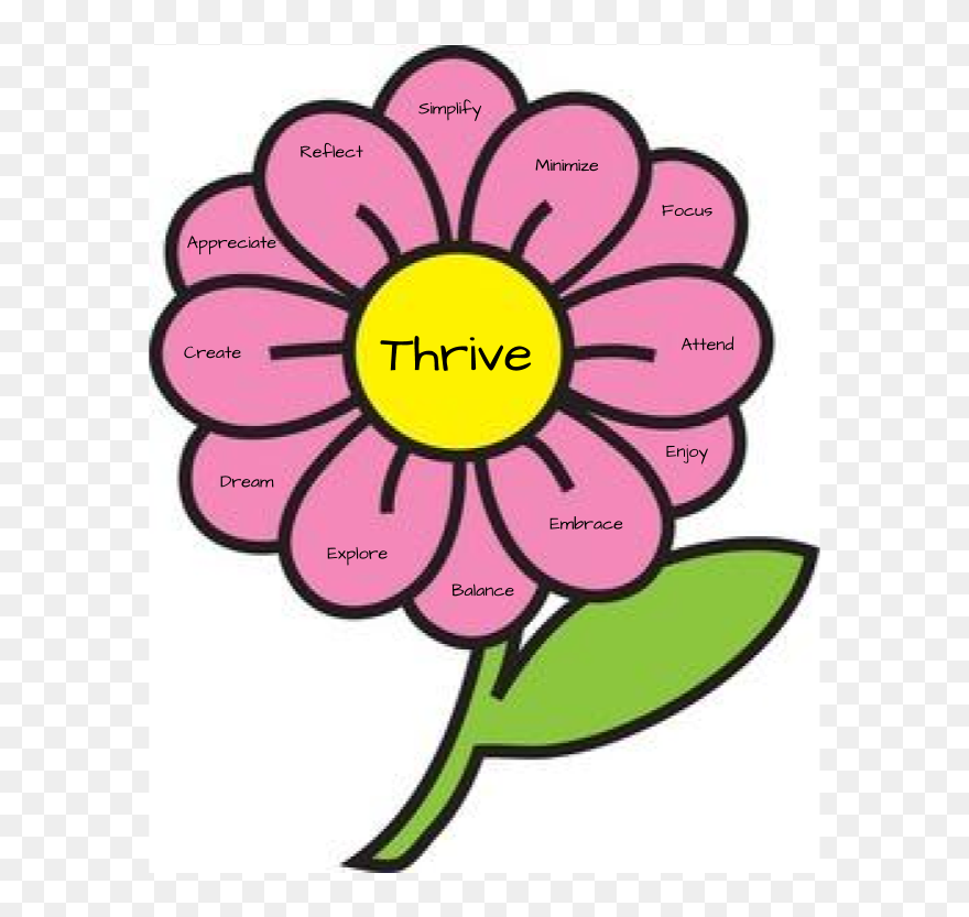 Picture - Yellow Daisy Clipart - Png Download