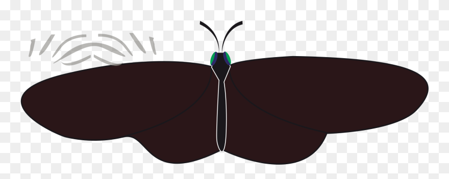 Butterfly Svg Clip Arts - Png Download