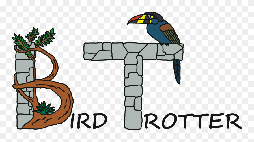 Birdtrotter Budget Birding Ecotours - Cartoon Clipart