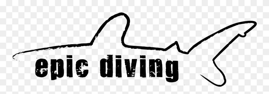 Shark Divers Logos Clipart