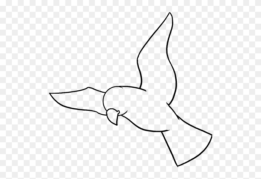 How To Draw Bird - Ideal Environment Easy Drawing Clipart