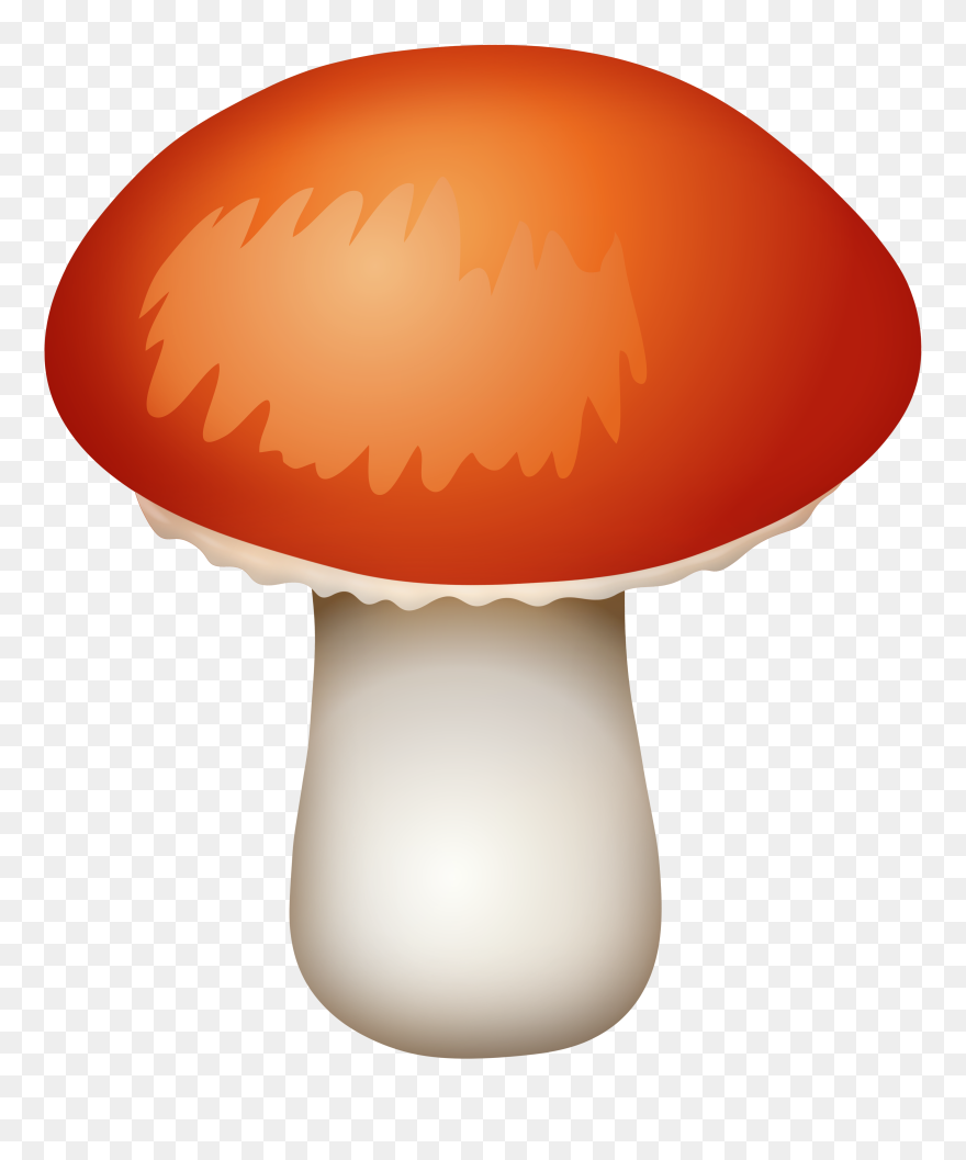 Funky Clipart Mushroom - Clip Art Mushroom Png Transparent Png