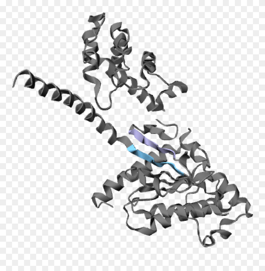Protein Transparent Background Clipart