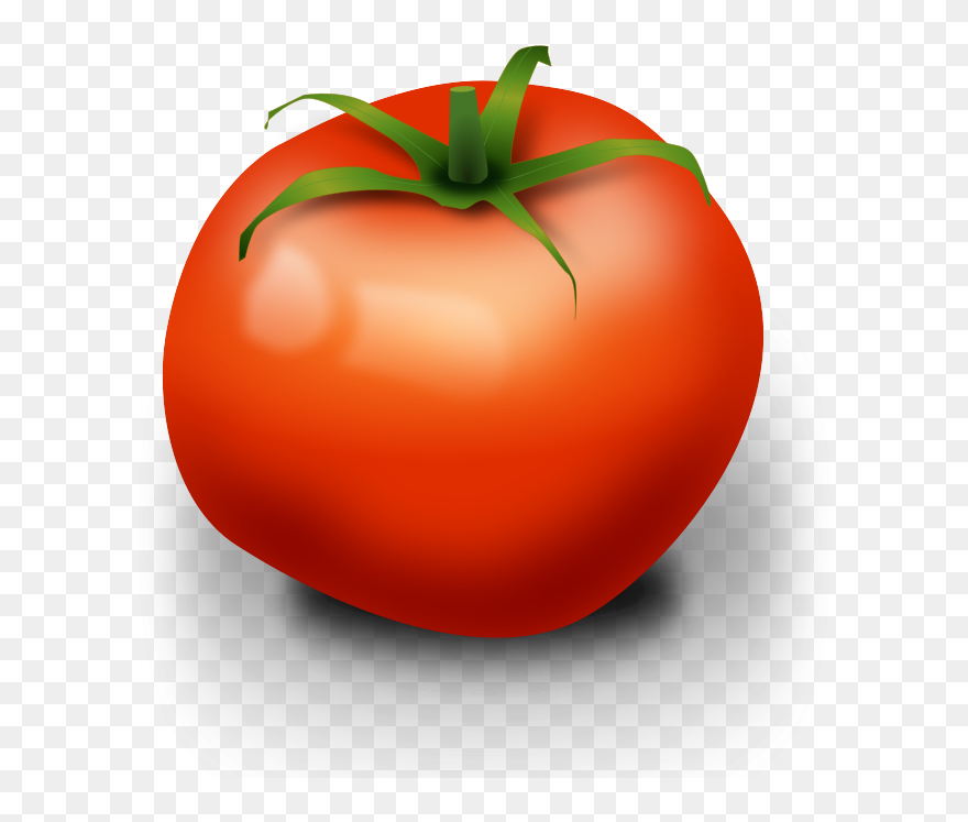Realistic Cliparts - Tomato Clipart - Png Download