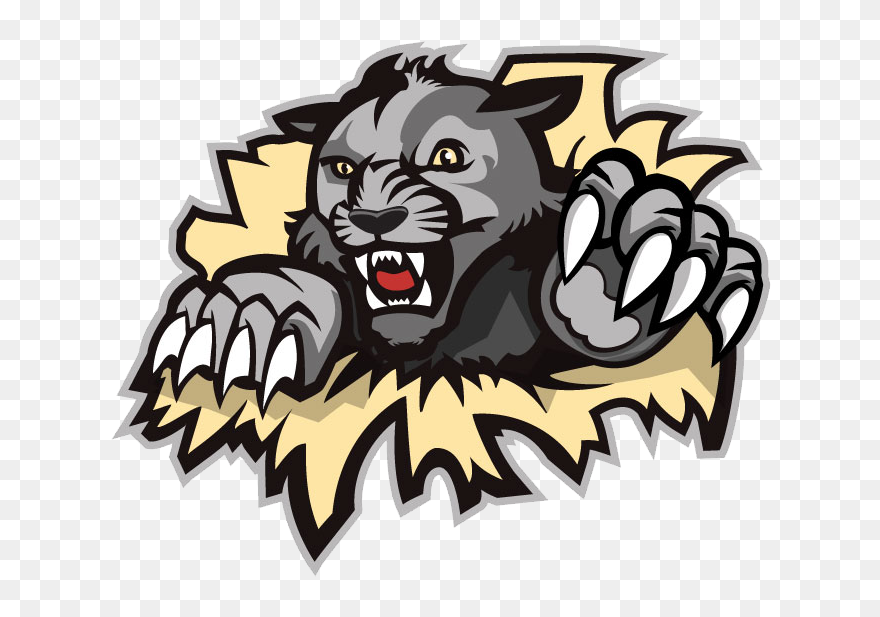 Wildcat Clipart West Shore - West Shore Wildcats Logo - Png Download