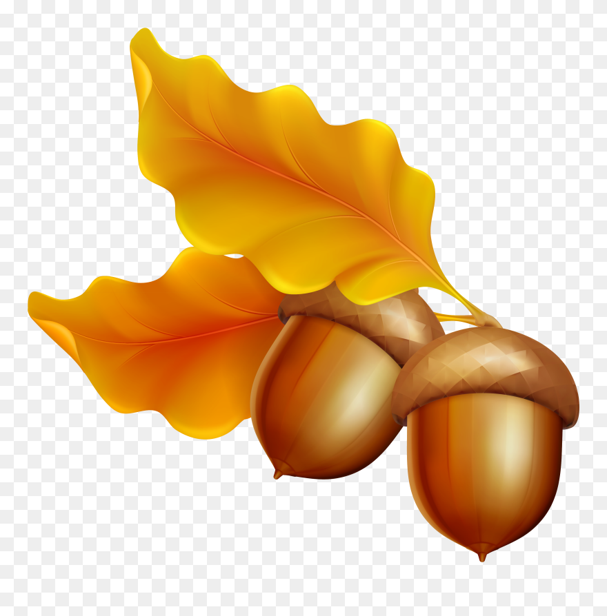Acorn Leaf Oak Clip Art - Transparent Background Clip Art Fall - Png Download
