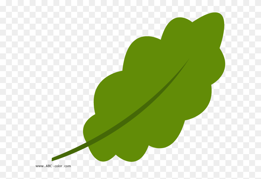 Дубовий Листочок Clipart