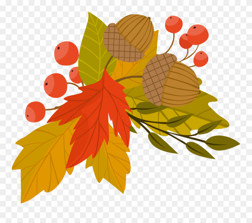 #fall #autumn #leaves #acorn #fallleaves #fallcolors - Leaf Clipart