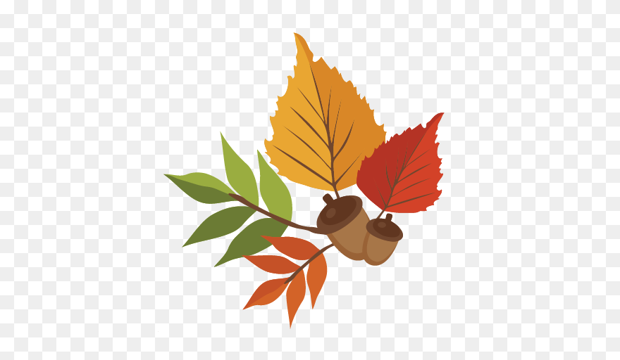 #fallleaves #leaves #fall #autumn #acorn - Cute Fall Leaves Clip Art - Png Download