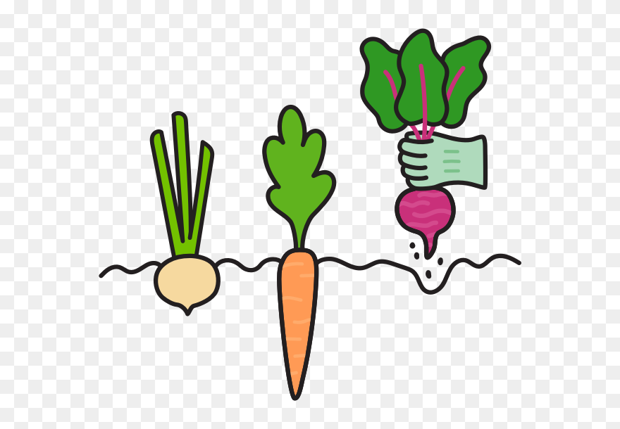 Log-in To View Your Order - Baby Carrot Clipart