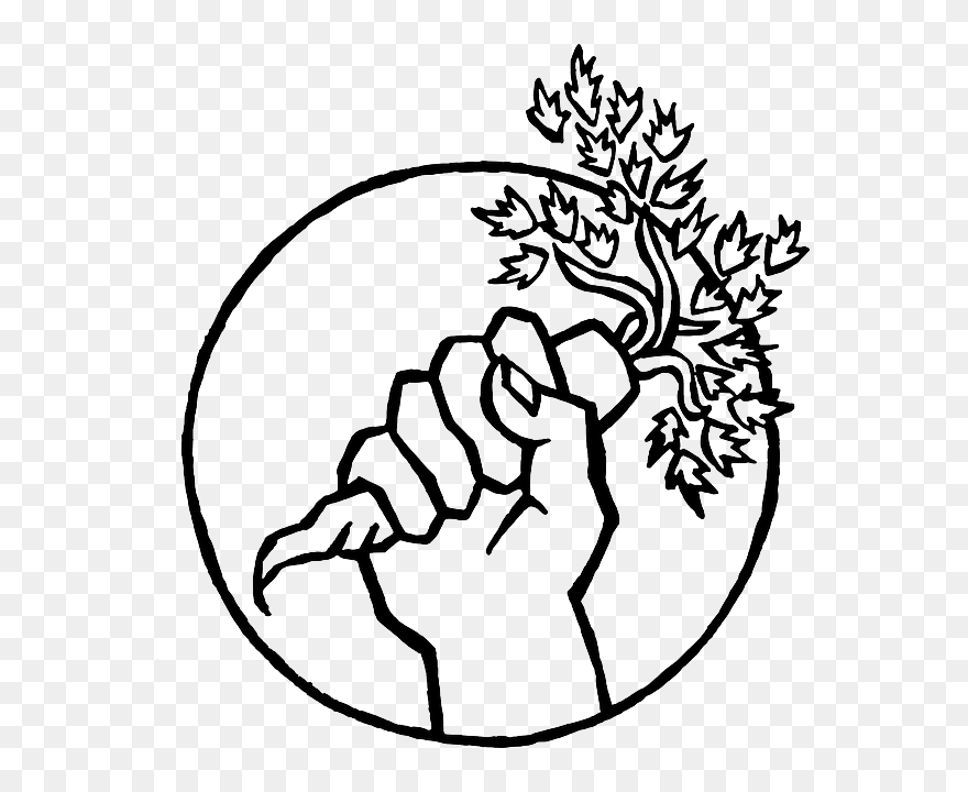 Food Not Bombs Logo Clipart
