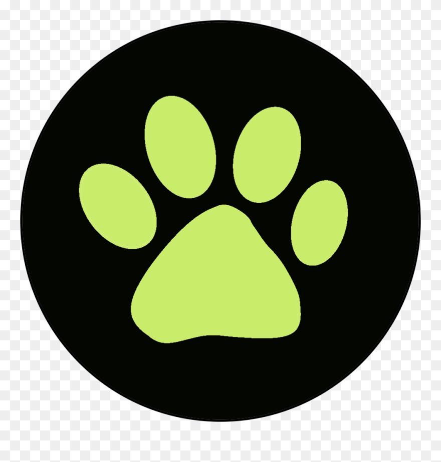 Transparent Miraculous Ladybug Clipart - Cat Noir Miraculous Ring - Png Download