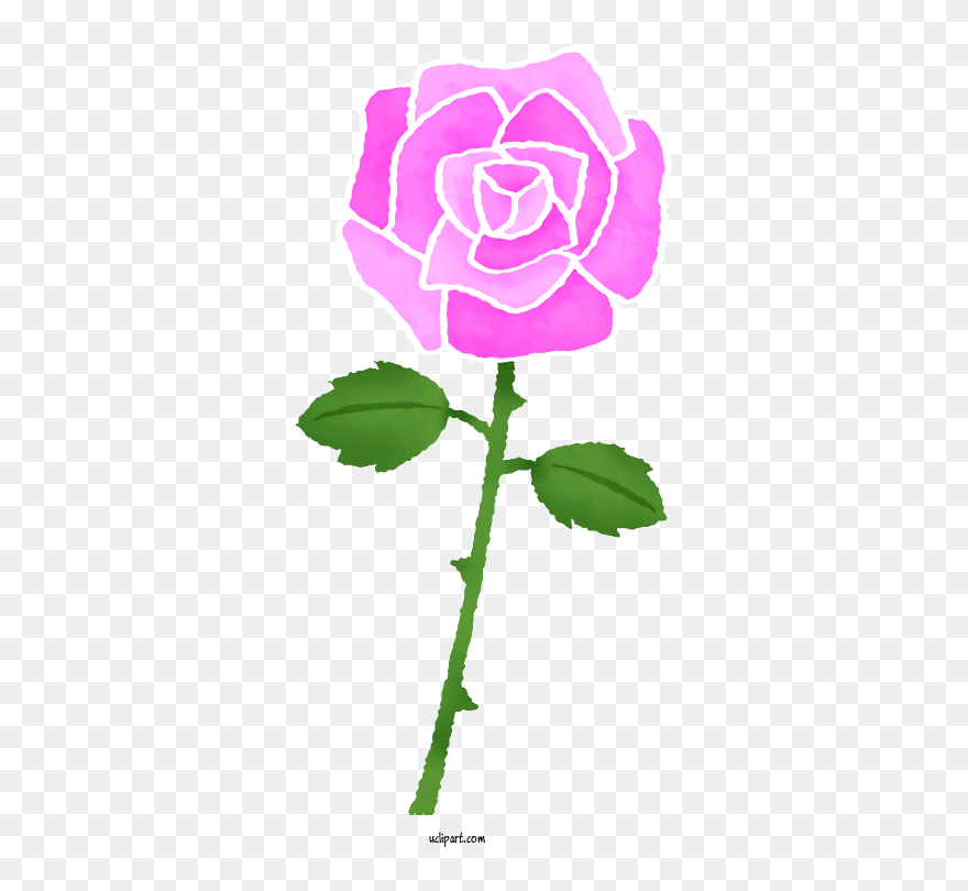 Transparent Flowers Garden Roses Drawing Color For - イラスト 紫 の バラ Clipart