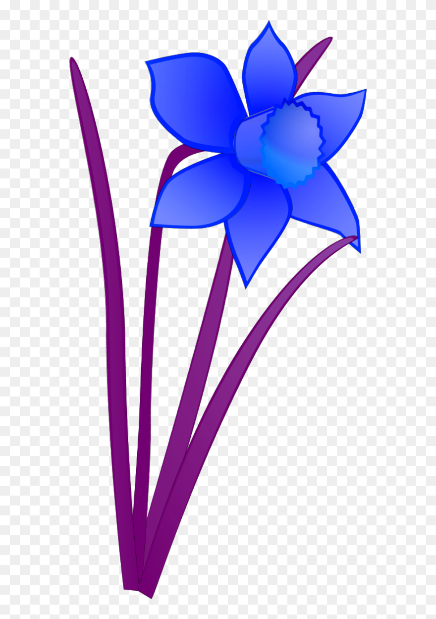 Vector Clip Art - Blue Daffodil Clipart - Png Download