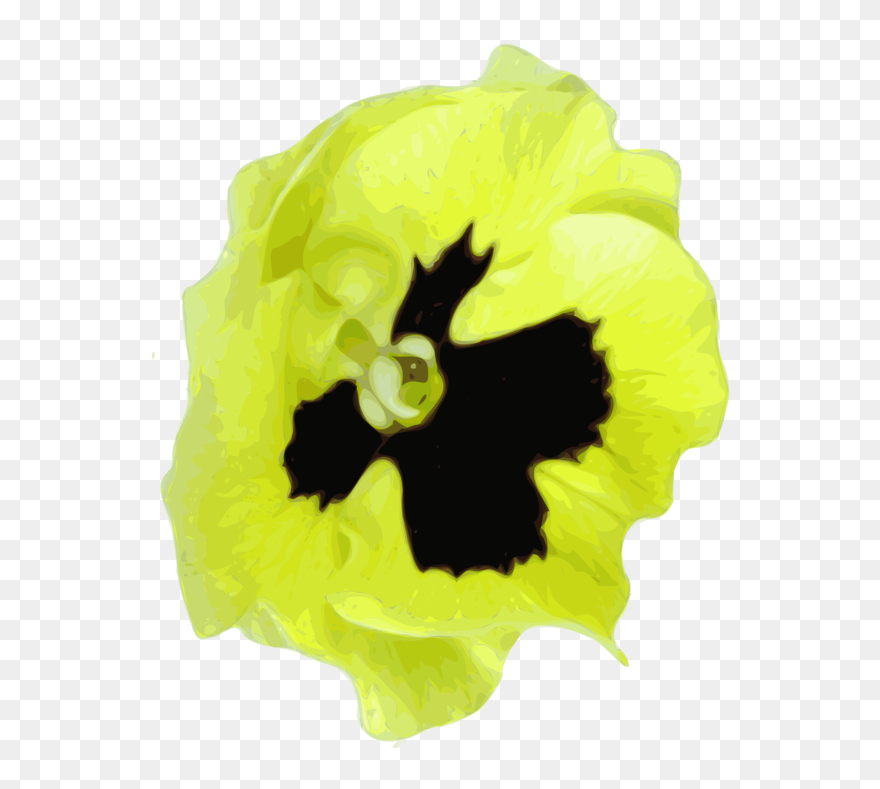 Plant,flower,petal - Pansy Clipart