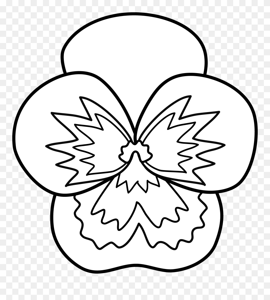 Pansy Flower Clip Art - Png Download