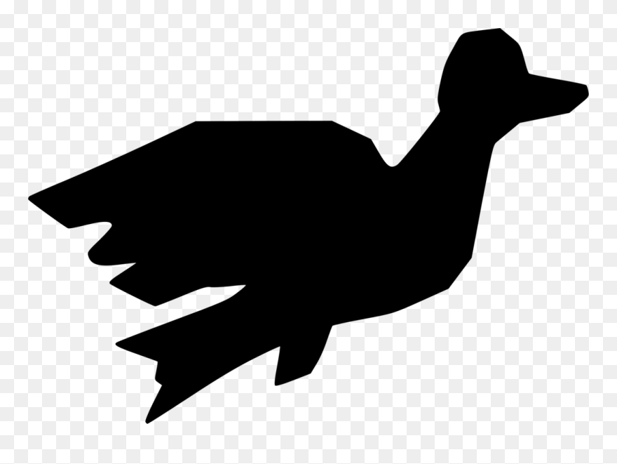 Photography - Goose Clipart