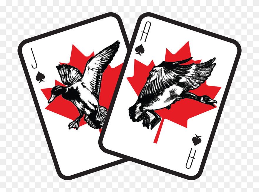 Bjo Logo-min - Illustration Clipart