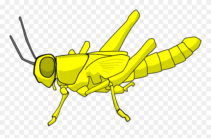 Cartoon Locust Clipart