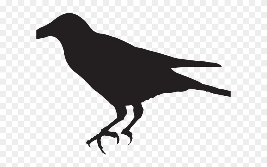 Crow Clipart - Png Download