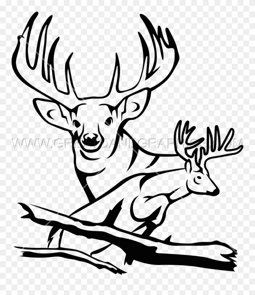 Antler Clipart 8 Point Buck - Elk - Png Download