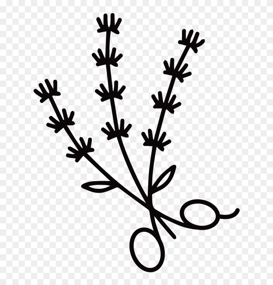 Final Lavender-03 Clipart