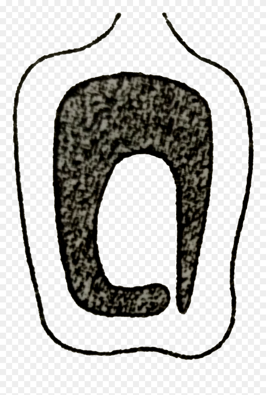 Clip Art - Png Download