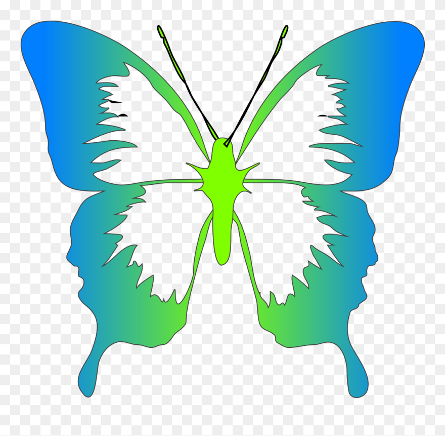Butterfly Outline Clipart