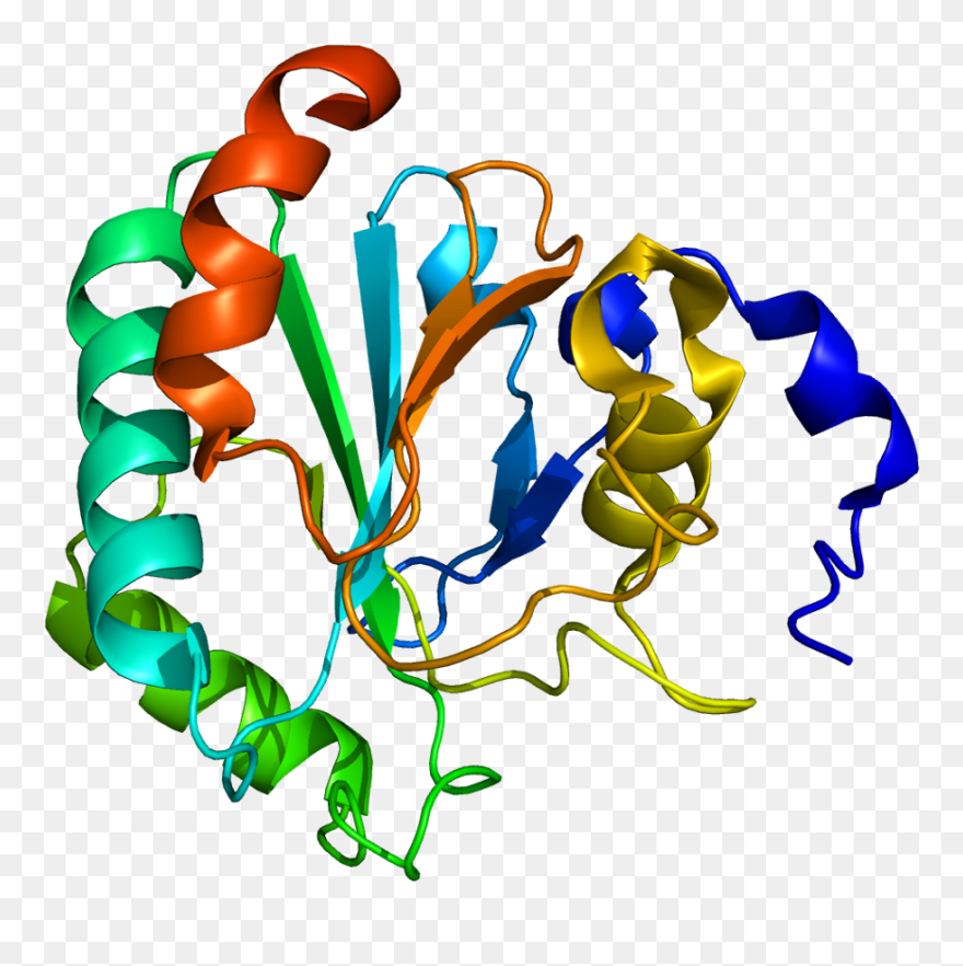 Protein Gpx4 Pdb 2gs3 - Enzyme Glutathione Peroxidase Clipart