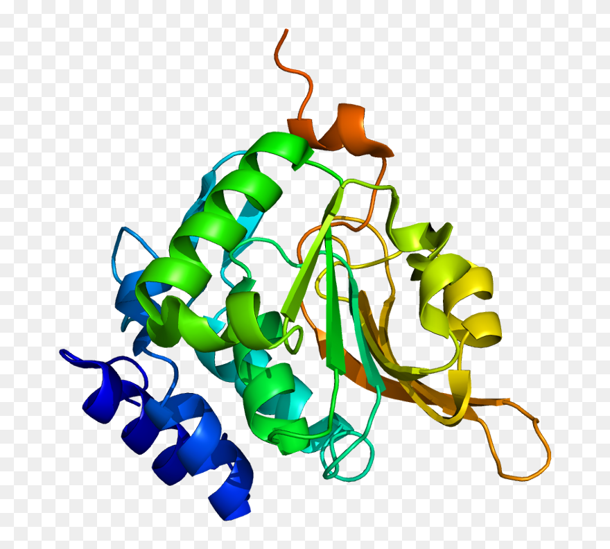 Protein Pcmt1 Pdb 1i1n - Protein Structure Creative Commons Clipart