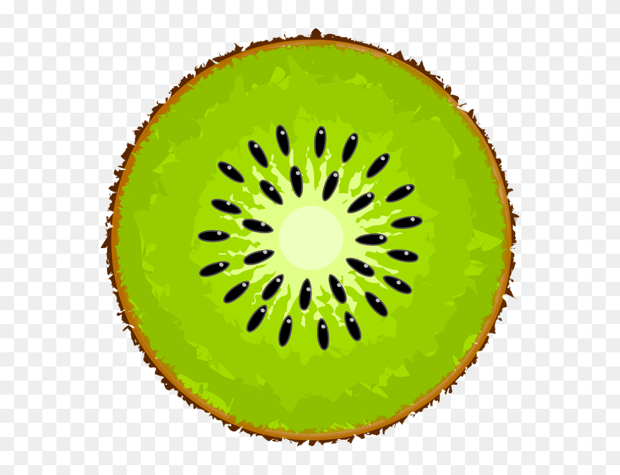Kiwi-slice - Kiwi Clipart - Png Download