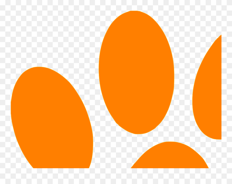 Blues Clues Orange Paw Svg Clip Arts - Circle - Png Download
